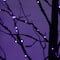 8ft. Pre-Lit Halloween Black Twig Artificial Tree with 510 Orange & Purple LED Lights